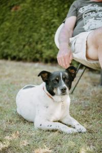 Hotels Logis Hotel du Chateau : photos des chambres