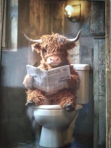 100 Stufen über dem Rhein