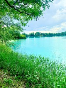 Maisons de vacances Entre Ried et Rhin : photos des chambres