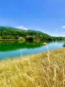 Maisons de vacances Entre Ried et Rhin : photos des chambres