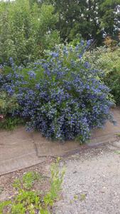 appartement à la ferme