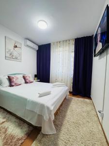 Apartament David