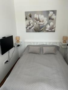 Apartman Pčelica Sombor