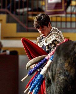 Appartements L-appartementdu soleil : photos des chambres