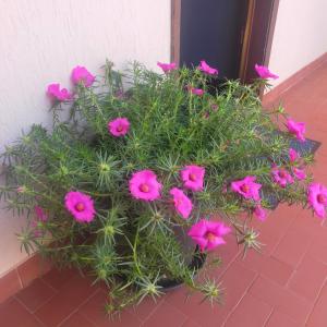 Appartements Tu Casa parking fibre optique Netflix : Studio