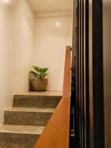 Bunknotown by C&C Accommodations