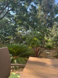 La demeure de Poulpican chambre BROCELIANDE jacuzzi charme et romantique mer plage restaurant à 300m Golfe Saint Tropez