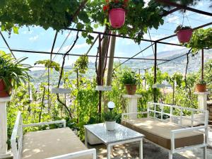 CityView Garden Retreat