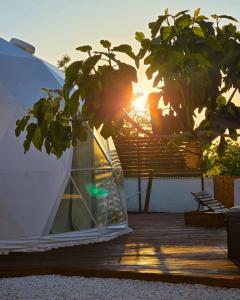 Domo AWA Magia y Naturaleza