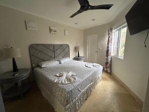 Blue angel 11 a pasos de la playa y la 5v