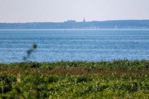 Krynica Morska Piaski - domek