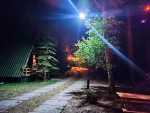 Ośrodek Wypoczynkowy Zakątek, Domki i pokoje w sosnowym lesie