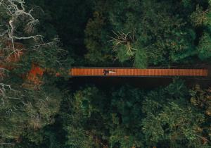 TreeCasa Hotel & Resort Nicaragua