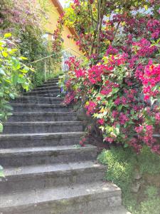 Ferienwohnung mit Weitblick