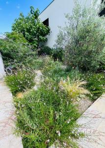 House in Pezinok swimming pool, Bratislava