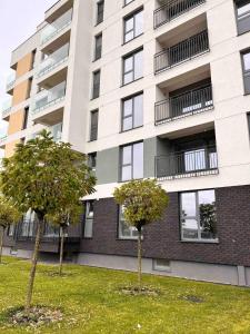 Quiet Deluxe Suite Coresi - Free Parking