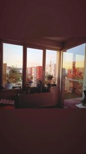 Appartements Bel appartement proche Mulhouse - grand balcon 9m2 : photos des chambres