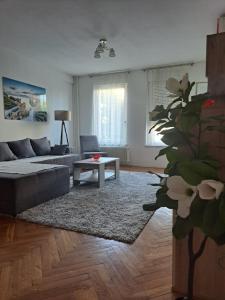 Andrea Apartman