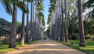 Apartamento Jardim Botânico