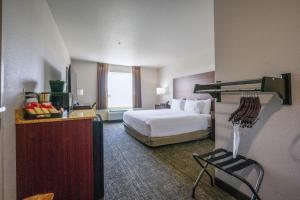 Cobblestone Inn & Suites - Boise City
