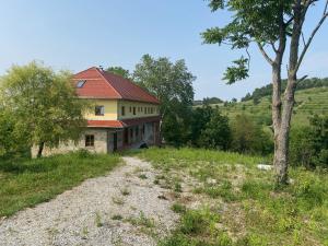 Auszeit in den Weinbergen der Untersteiermark