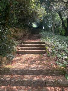 Maisons de vacances Chateau Seailles - Natural Luxury and historic charm : photos des chambres