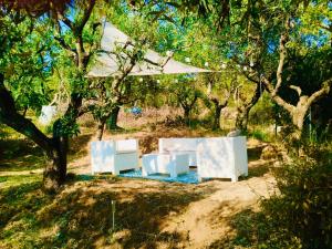 Casa Isabella- Barbecue, Giardino