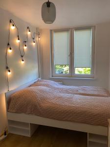 Peowiaków Guest Apartment