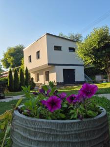 JUNÁK MINI ubytování v soukromí