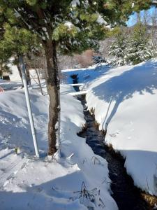centro turístico malalcahuello habitaciones