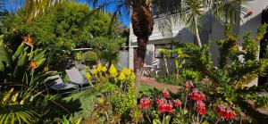 Garden apartment Bay View