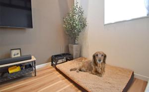 Olive House - Vacation STAY 46168v