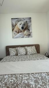 White Bear Apartment