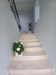 Darios Apartaments 2