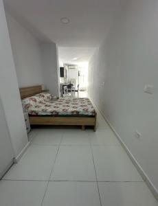 Mane Studio Apartment