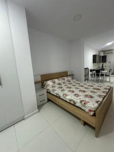 Mane Studio Apartment