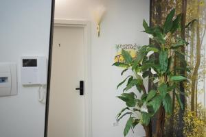 TROPICAL ROOMS Vista Mare