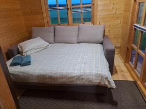 Atpūta Priedītēs - pie Tērvetes Dabas parka ar zirgiem, ponijiem un dabas tuvumu