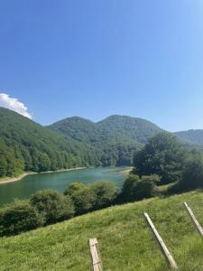 Olabidea Txikia 3 hab