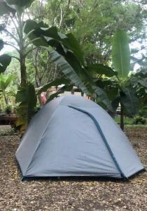 EcoCamping CONTACTO EXTREMO