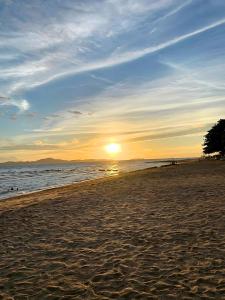 Laid back tropical garden Pattaya