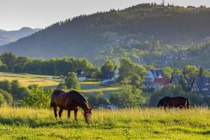Siedlisko u Magdy Zakopane z widokiem na Tatry
