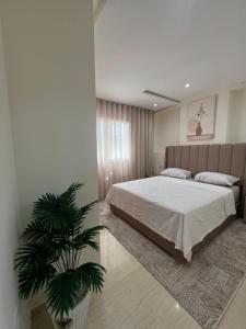 Elegant and comfortable apartment in Tangier, Luxury 3BR, AC, Bright Stay