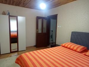 Hamsiköy green garden