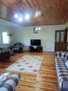 Hamsiköy green garden