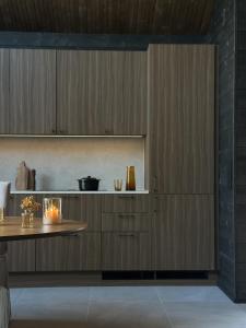 Black Villa, Aurora View Bath & Sauna, Private Design Villa in Lapland