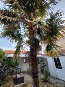 Maisons de vacances Fouras a pied : photos des chambres