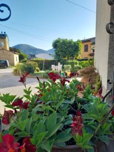 I Cuculi vacation home in Lucca