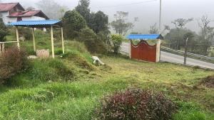 Bus completamente amoblado