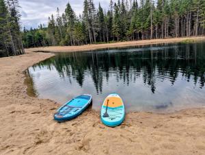 Lintemporel - Retro Chalet with Private Lake and Hot Tub